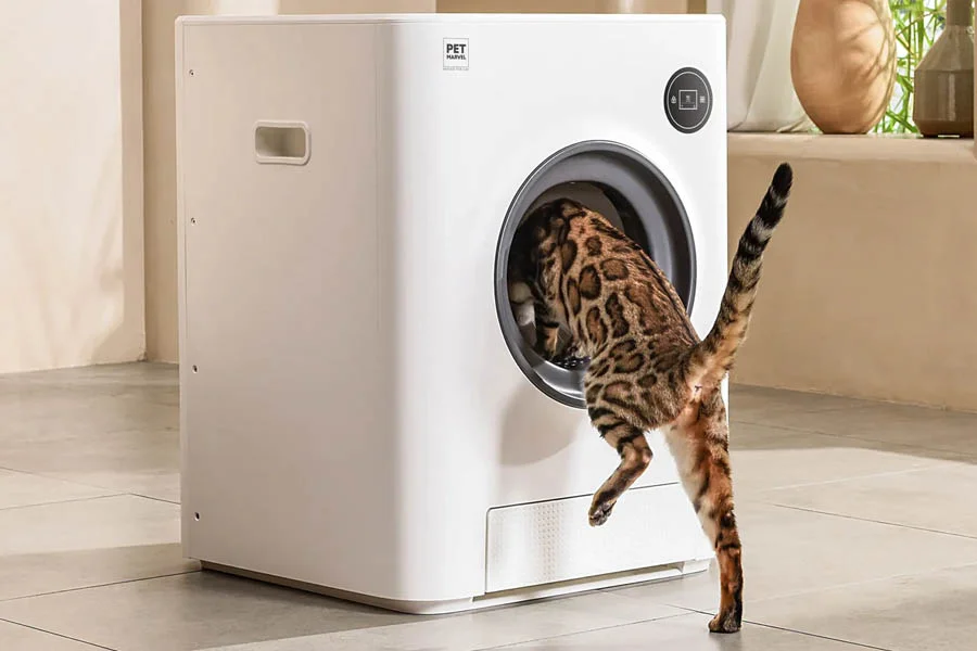best automatic kitty litter